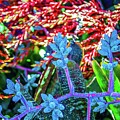 Tropical Mixed Plants 